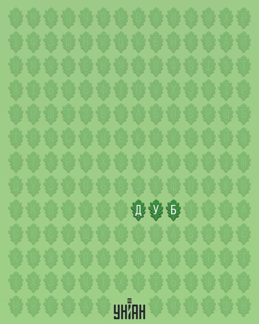 Pouze 1 % lidí dokáže najít slovo 