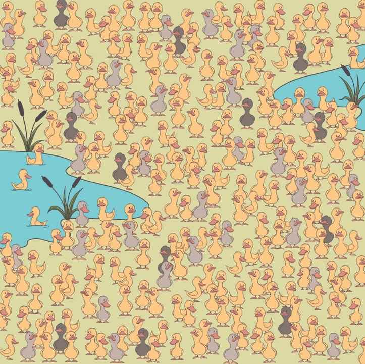 Tajemství a to hlavní