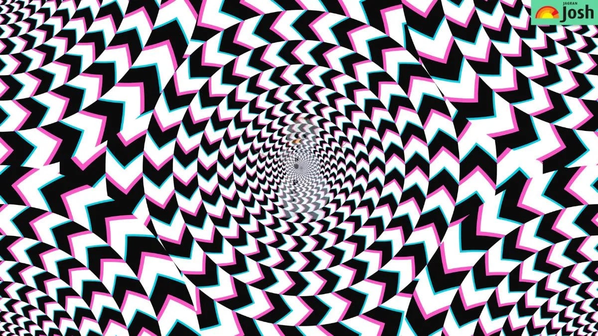 Hádanka pro bystrý zrak: do 5 sekund musíte najít skrytý obrázek.