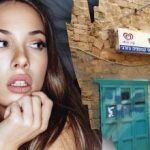 Jen génius by našel psa na ulici za 7 sekund: složitý optický klam Jen génius by našel psa na ulici za 7 sekund: